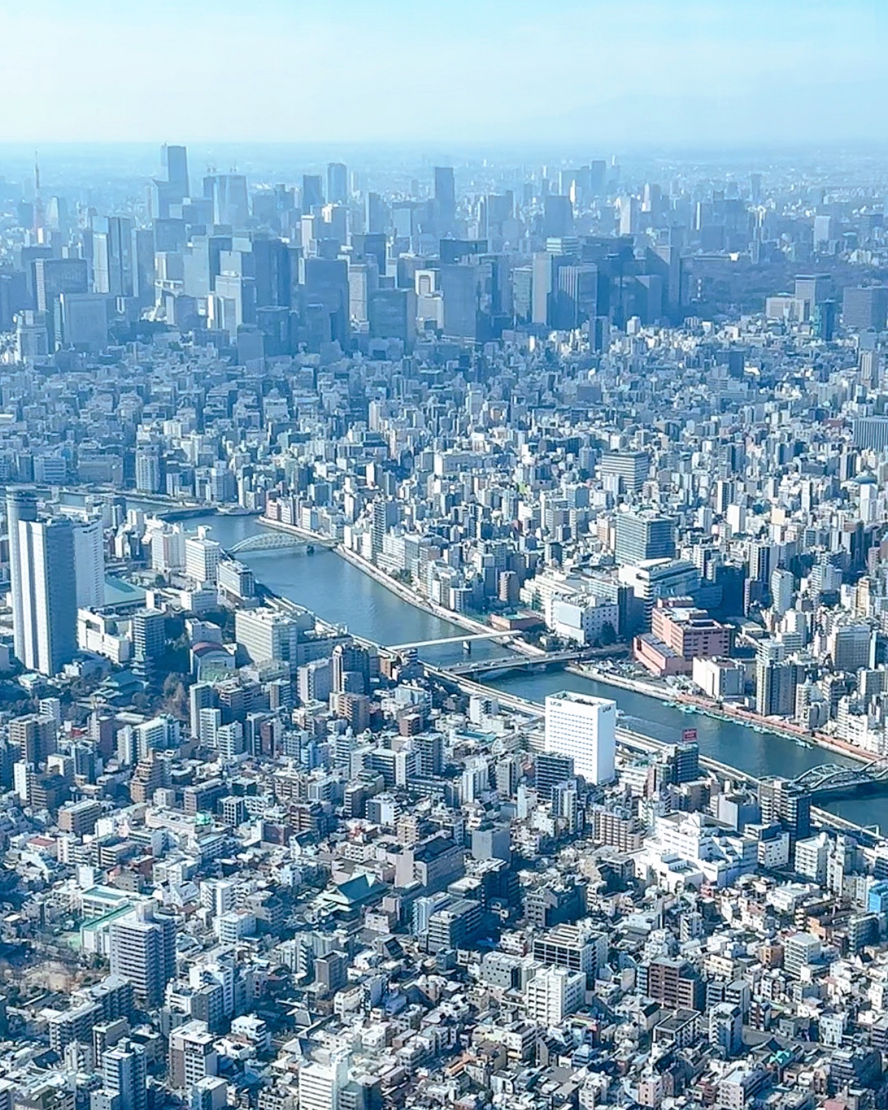 Can Tokyo's charms be replicated elsewhere?