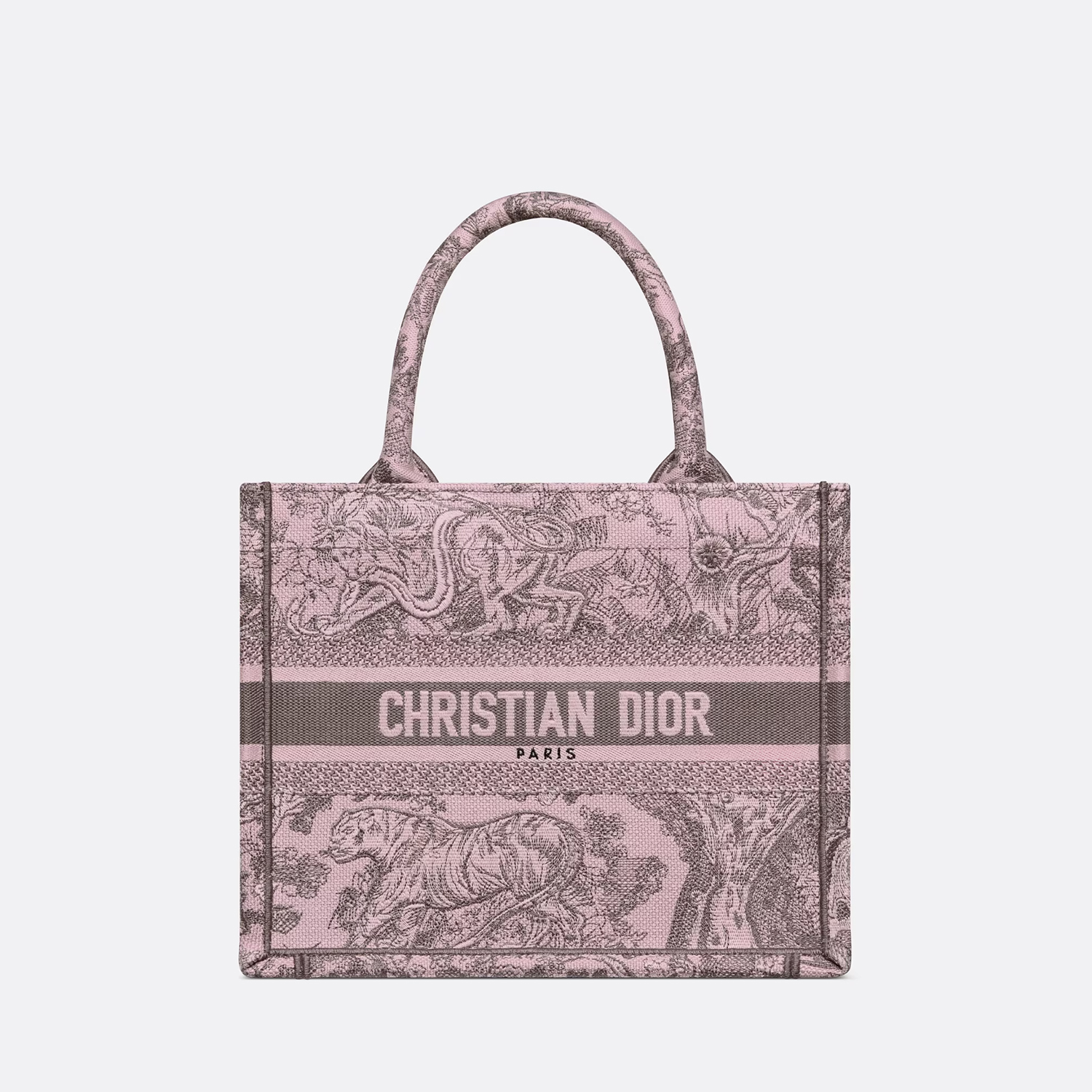 SMALL DIOR BOOK TOTE $4,400